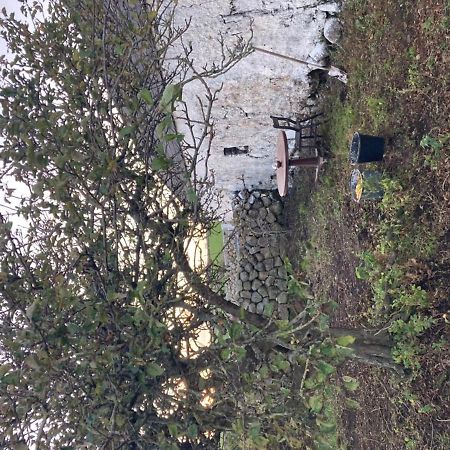 Littles Cottage, Heart Of The Mournes Annalong Exterior foto