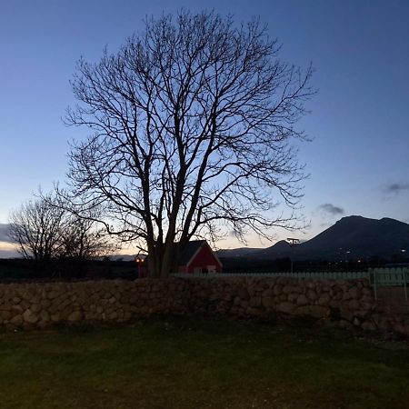 Littles Cottage, Heart Of The Mournes Annalong Exterior foto