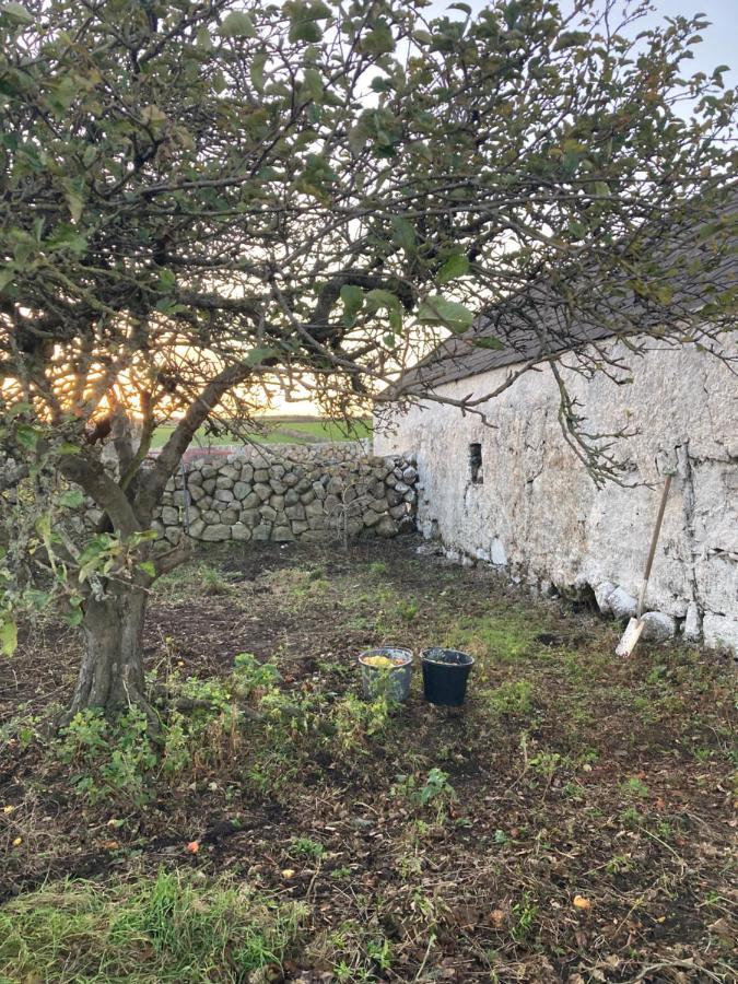 Littles Cottage, Heart Of The Mournes Annalong Exterior foto