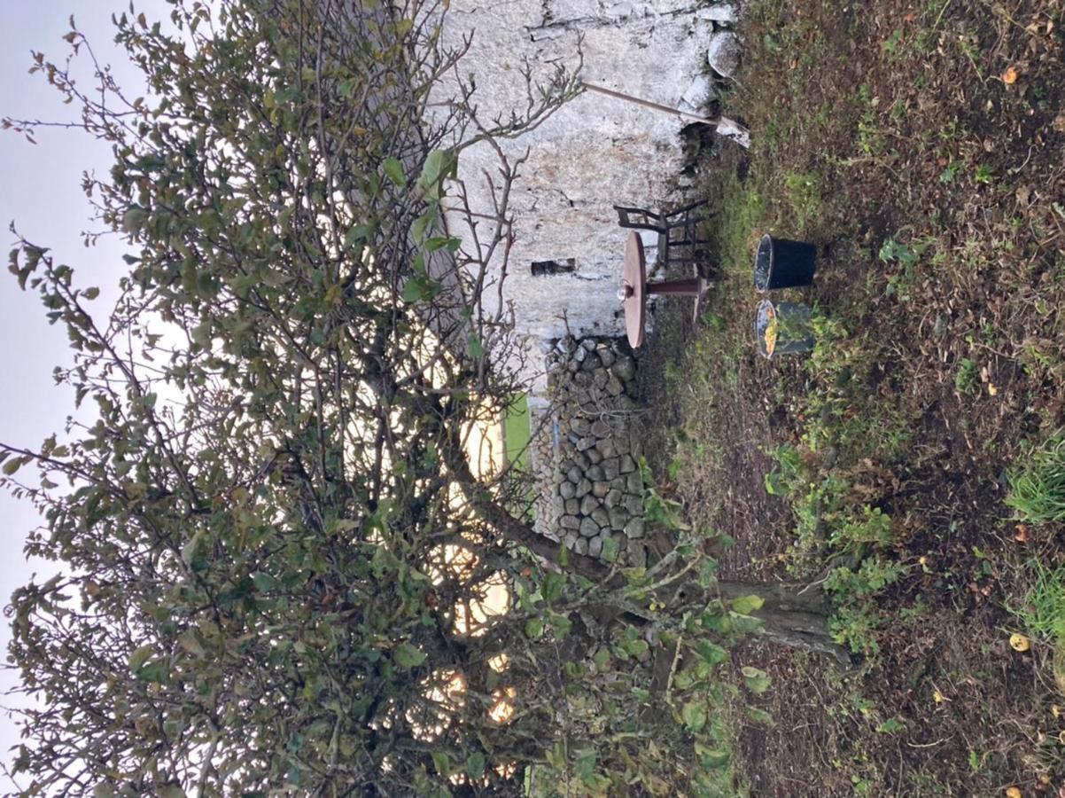 Littles Cottage, Heart Of The Mournes Annalong Exterior foto